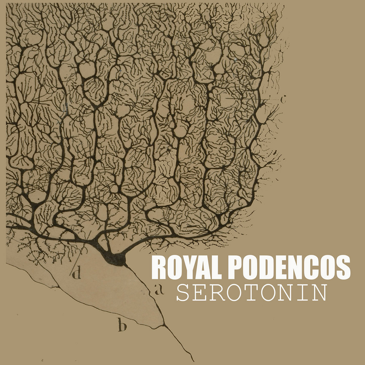 Royal Podencos, álbum Serotonin